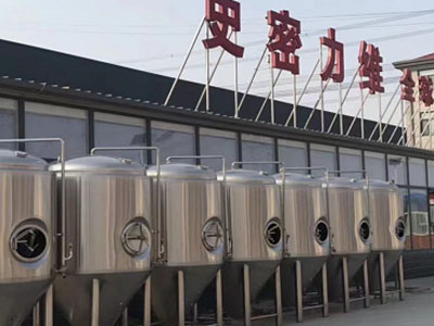 阳新精酿啤酒设备厂—市场规模与跨界新需求